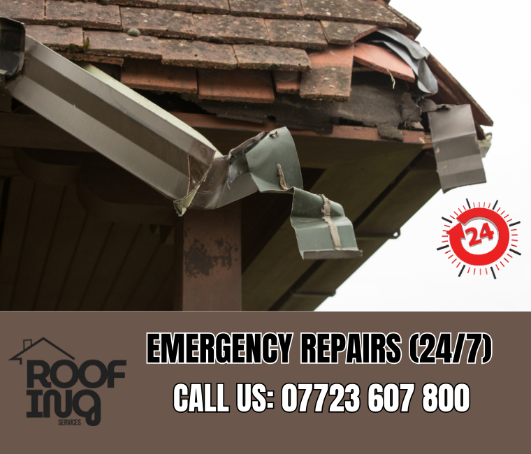 Emergency Roof Repairs in Dawlish