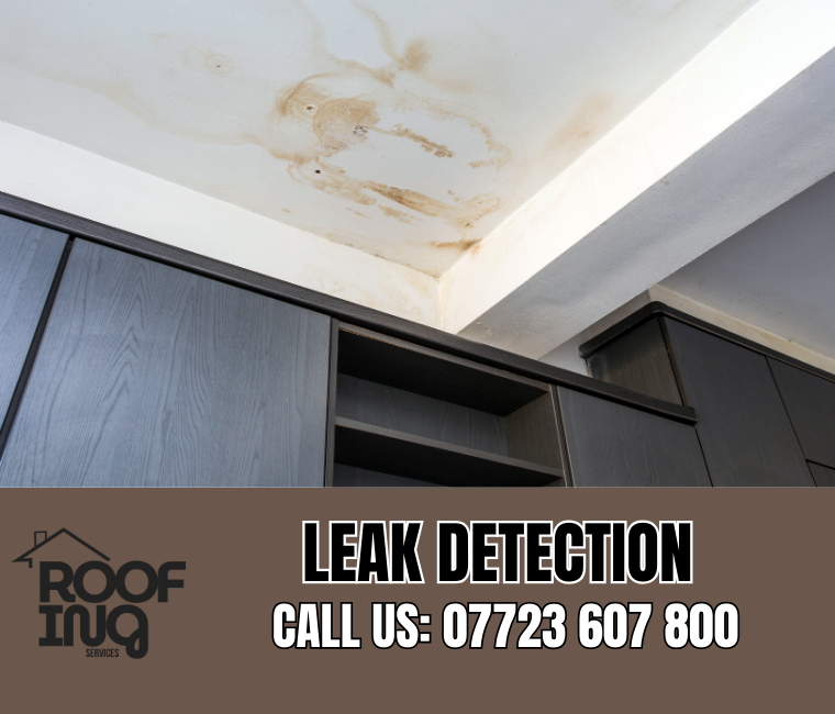 Roof Leak Detection in Dawlish