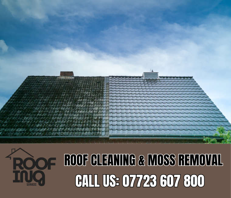 Roof Cleaning in Dawlish