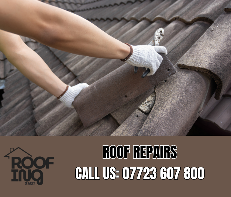 Professional roof repair services in Dawlish